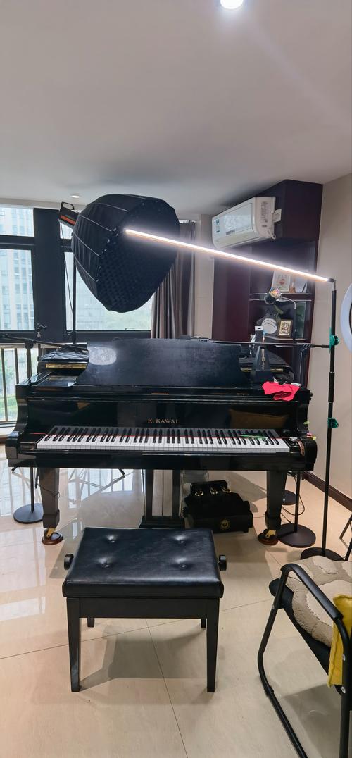 临沂市音乐家协会钢琴