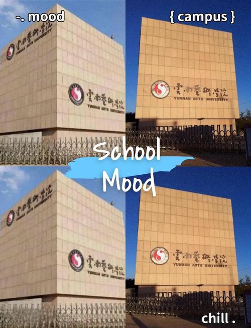 云南昆明能艺考的学校