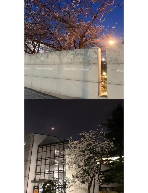 梨花女子大学舞蹈专业