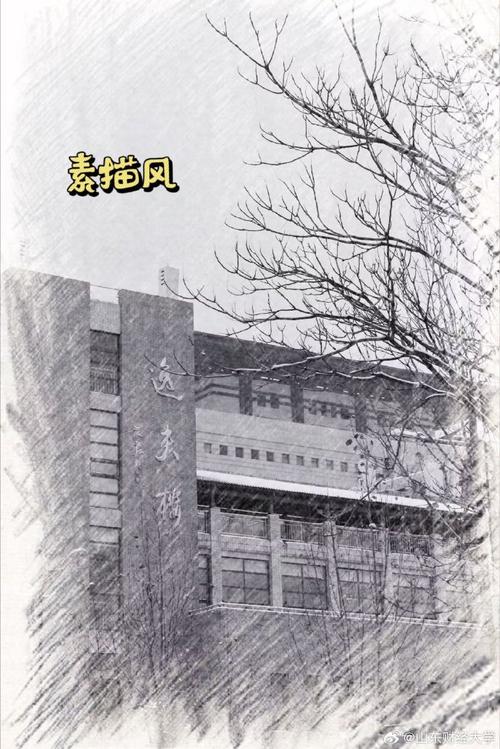 山东传媒职业学院美术