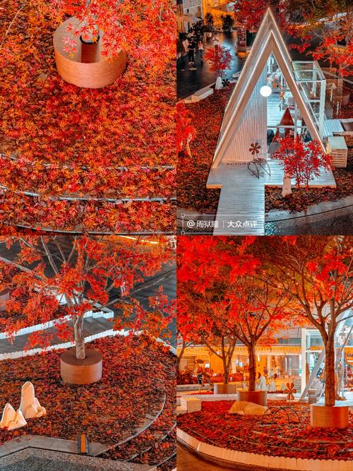 深圳红枫叶音乐工作室