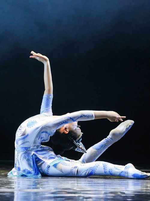 铁岭 星梦想舞蹈学校