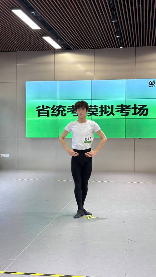 郑州市舞蹈艺考那家好