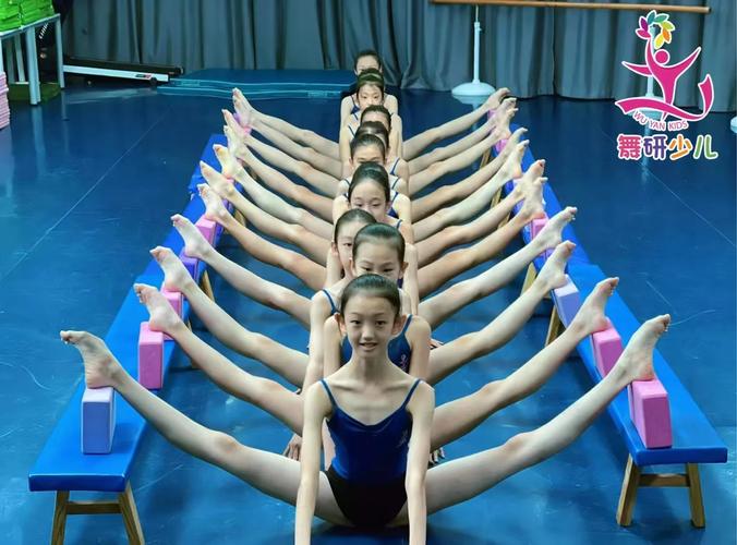 郑州市舞蹈艺考那家好