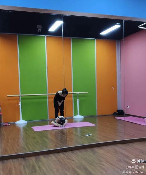 北京舞蹈培训 桔子树