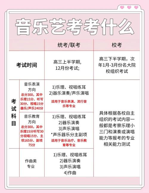 初中音乐艺考需要什么