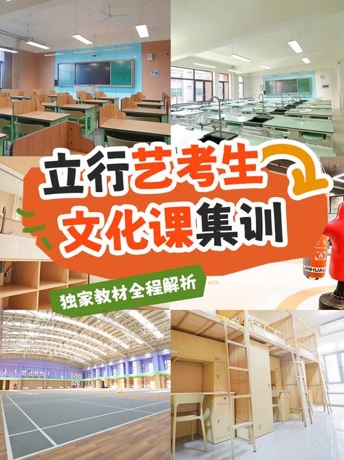 艺考培训包含文化课吗