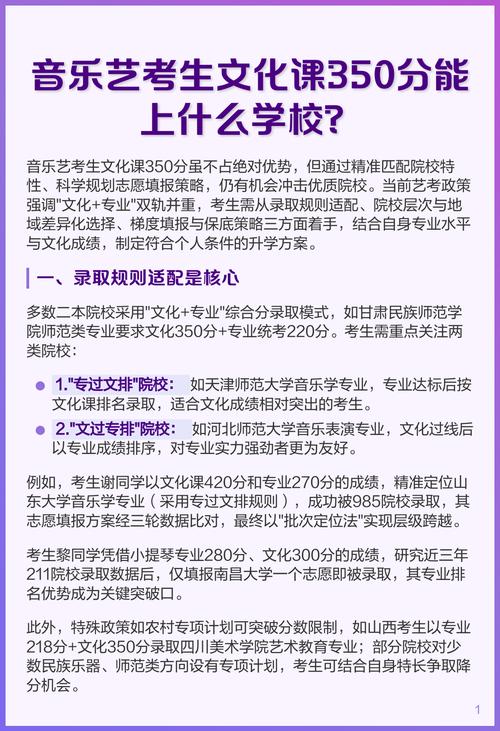 音乐艺考文化课的要求
