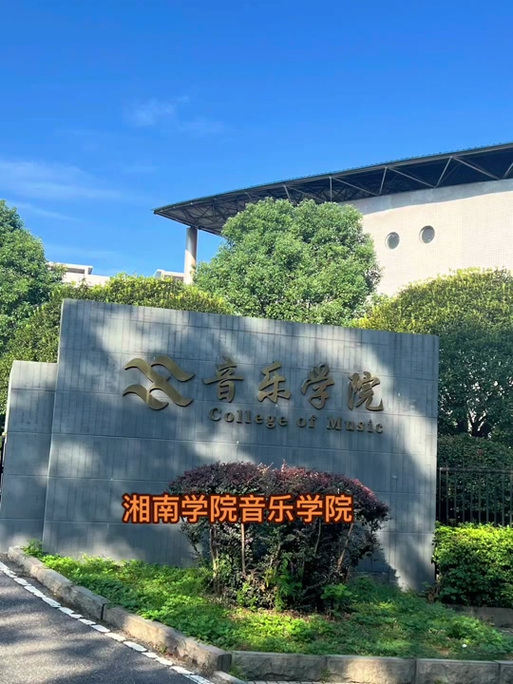 岳阳市最好的音乐学校