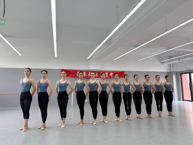 高考艺考舞蹈2025