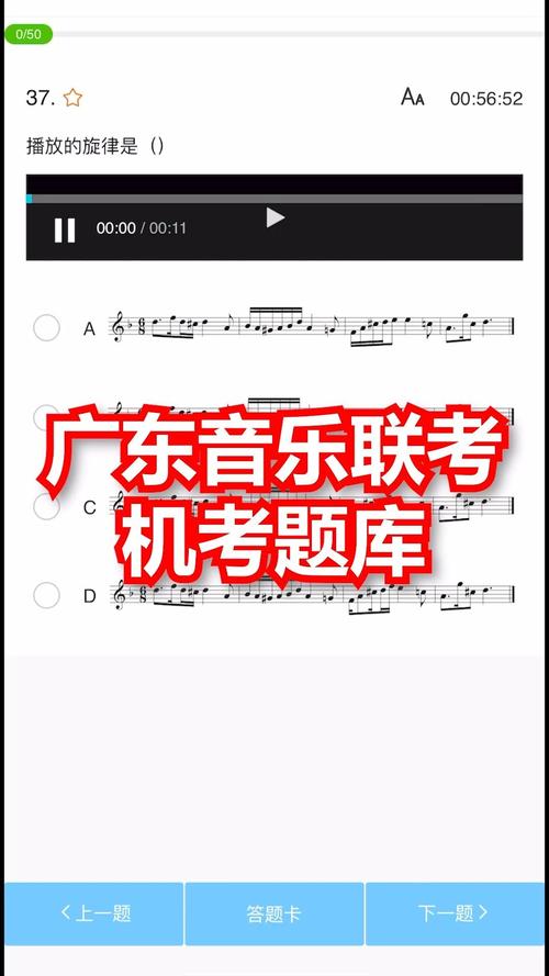 湛江音乐学院有单考吗