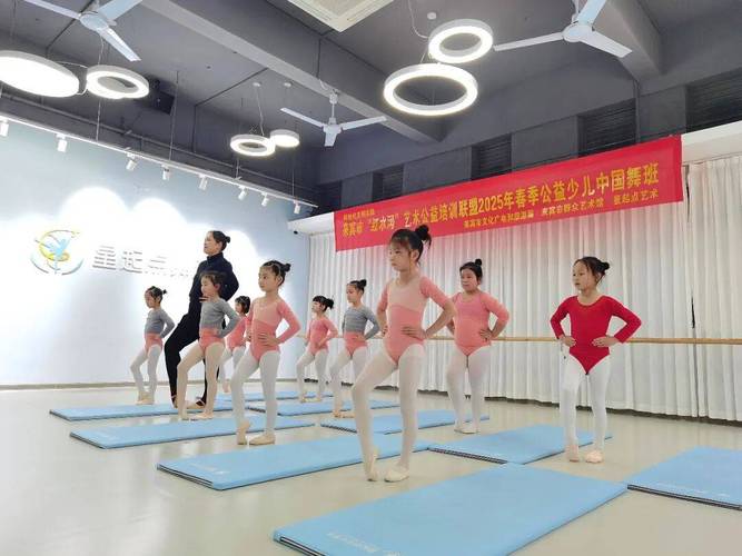 南京幼儿舞蹈培训排行