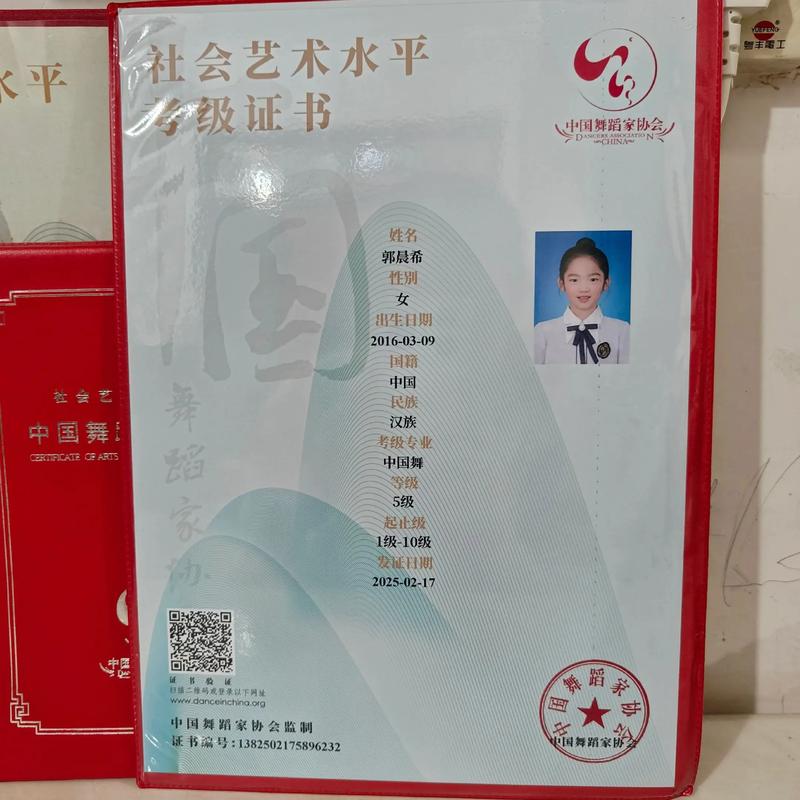舞蹈艺考需要等级证吗