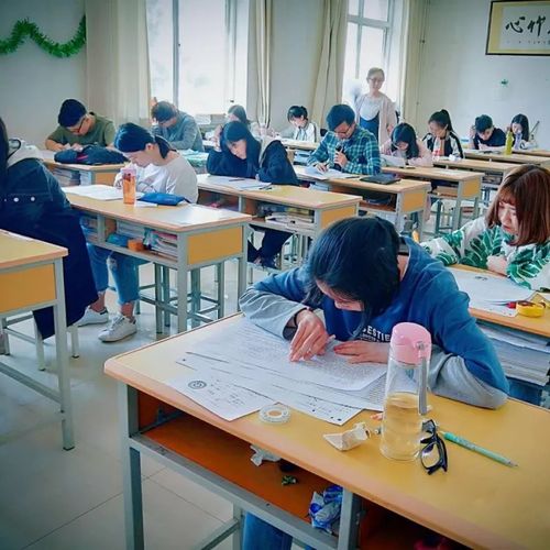 宁夏银川的艺考培训班