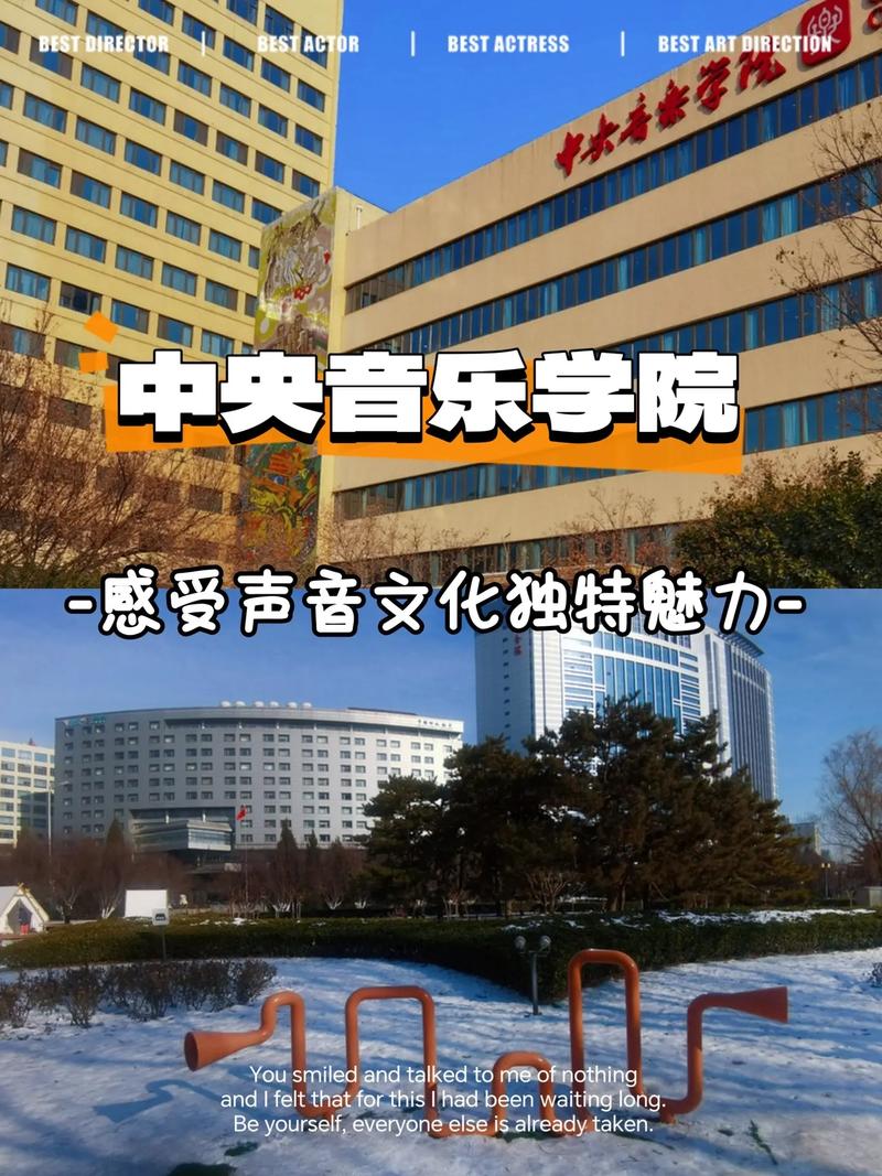 学唱歌 中央音乐学院