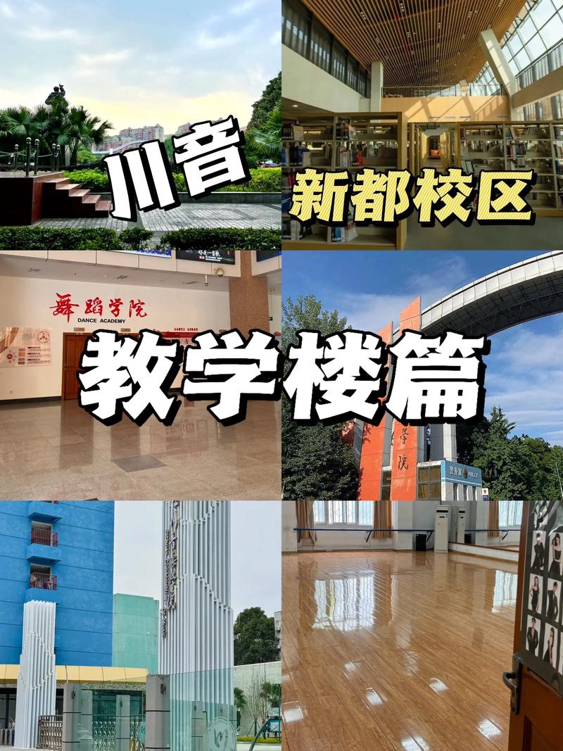 成都四川音乐学院集训