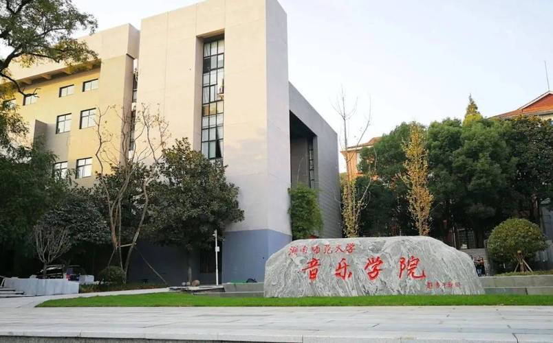 湖南有音乐的专科学校