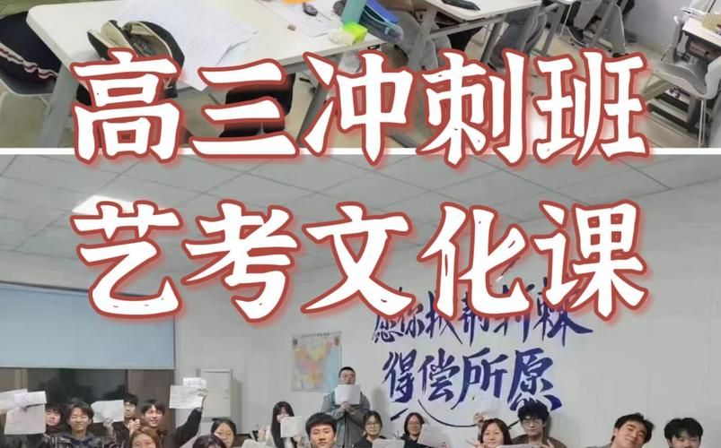 石家庄艺考文化新东方