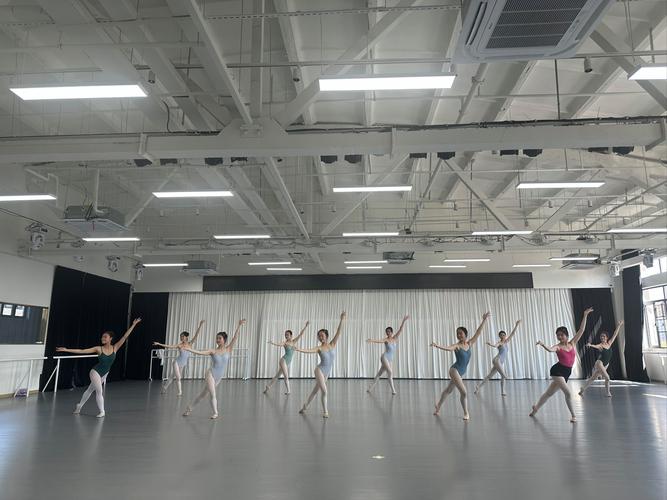 艺考民族舞有那些学校