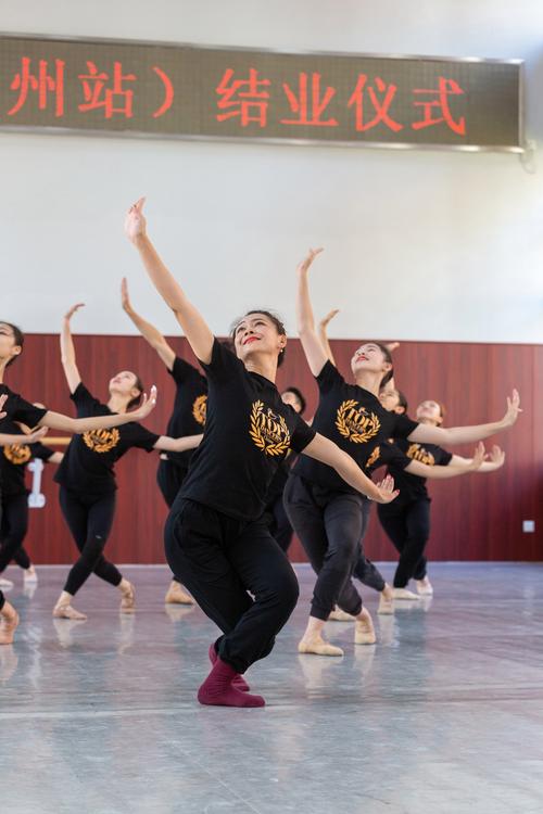 网络教育大专舞蹈专业